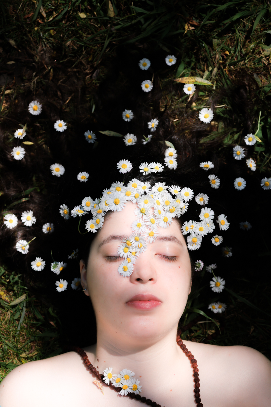 Nature photography detail