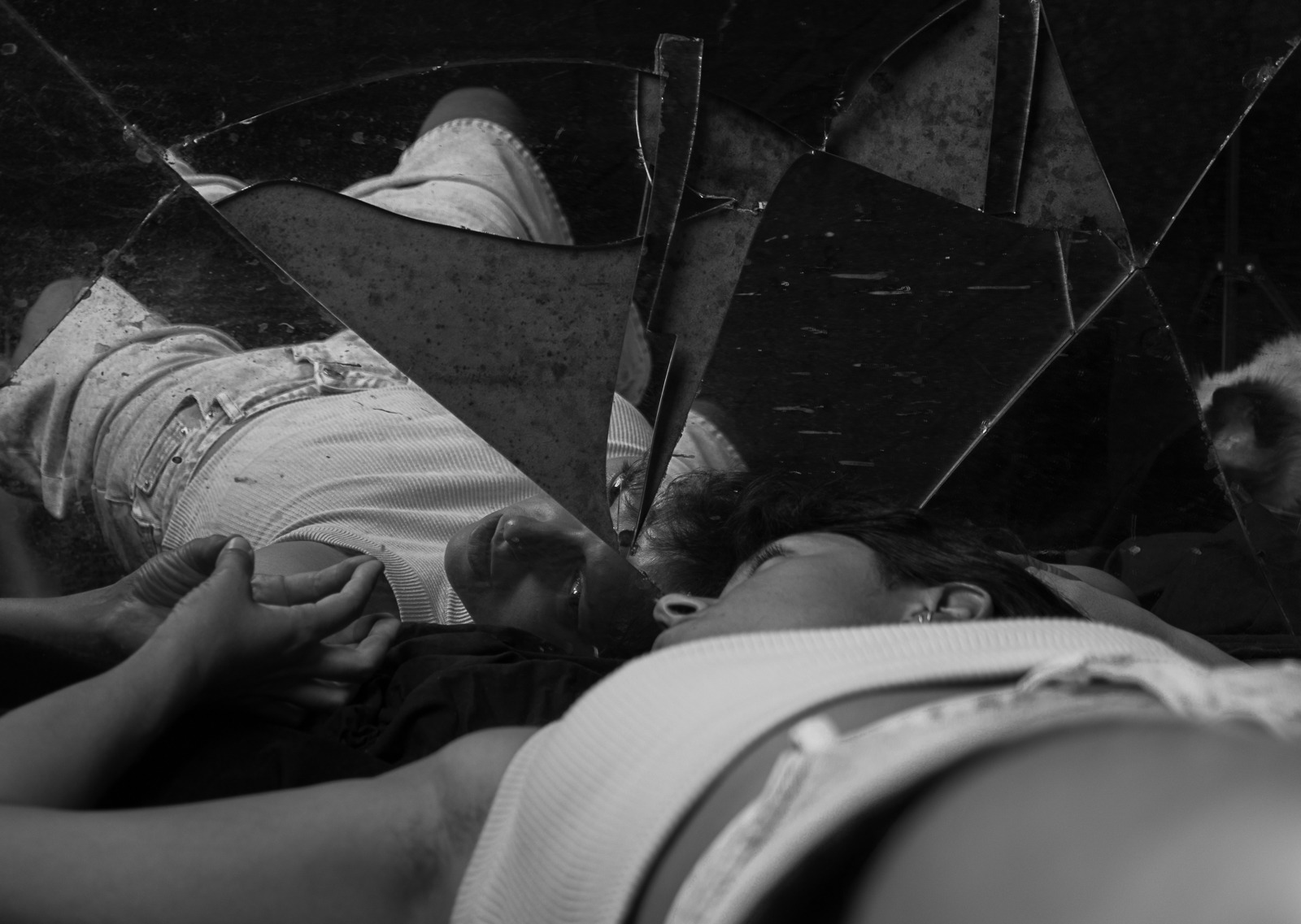 The Art of Visibility