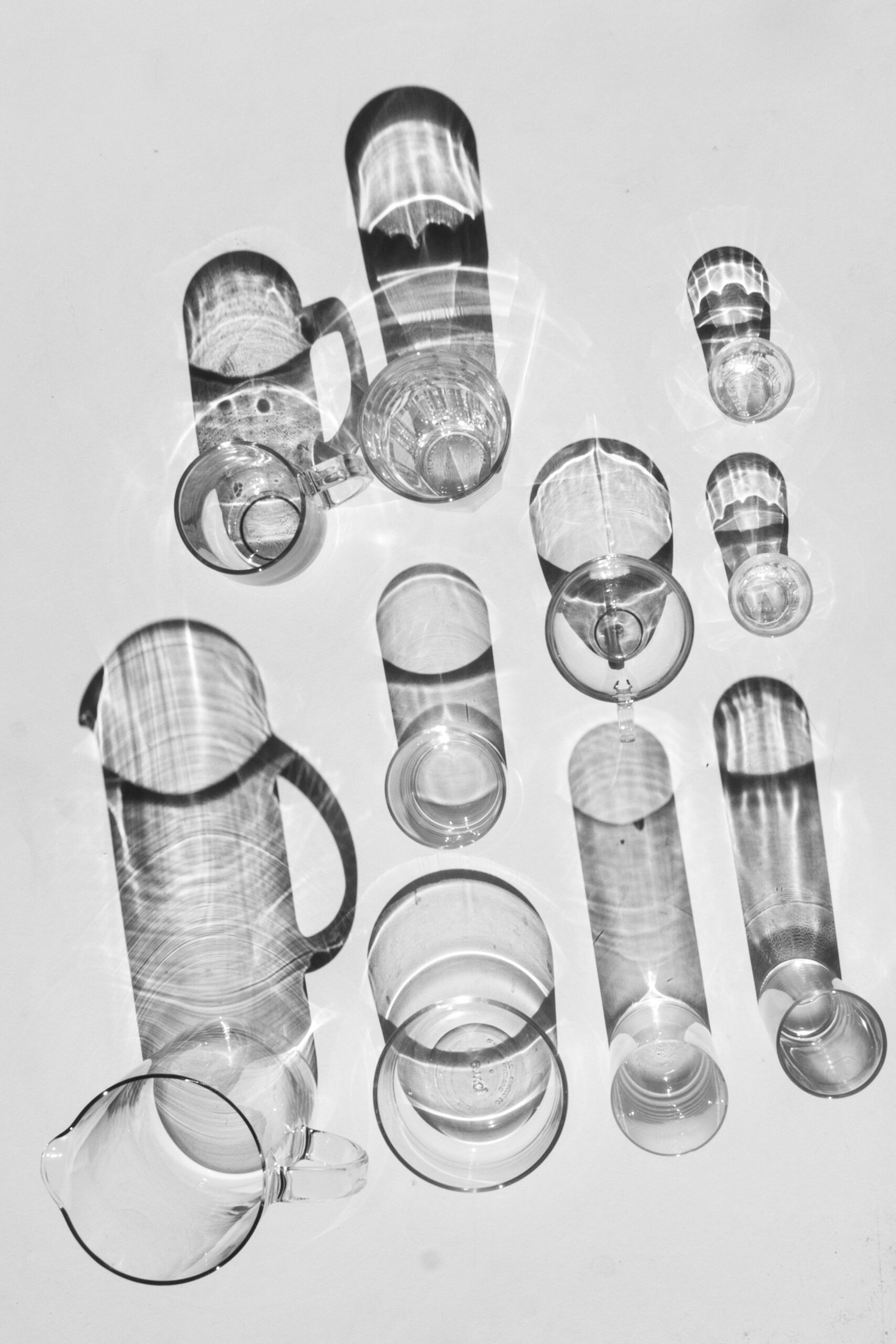 Still Life portfolio